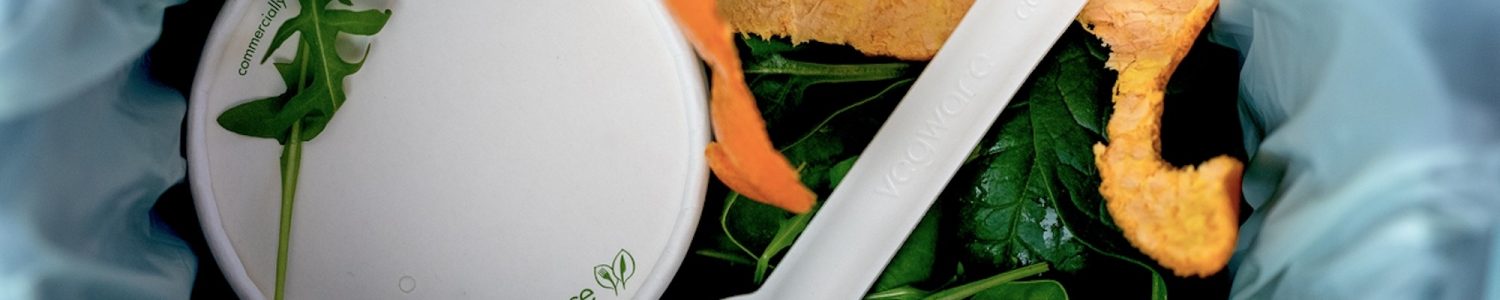 DSC05360 copy-802x1201-98e2a92 (1)