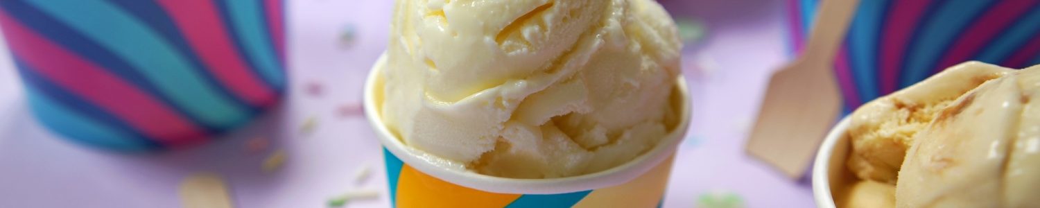 Go-Pak Go-Chill Ice Cream Tubs DSC00463 b hr